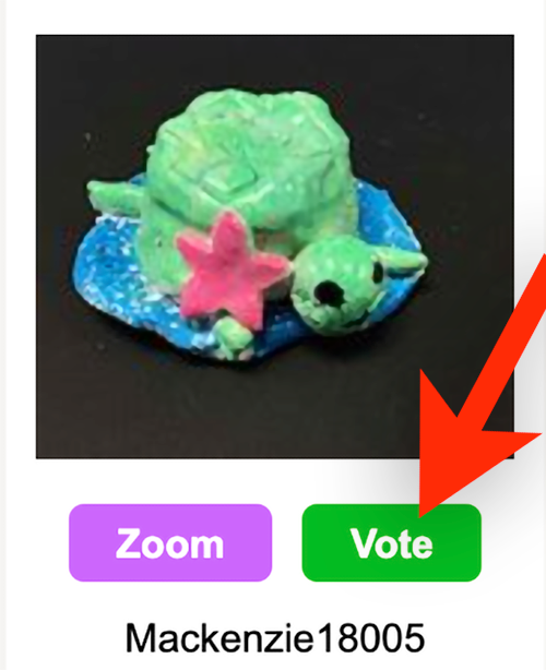 Photo of ceramic turtle and a red arrow pointing a green button that says VOTE