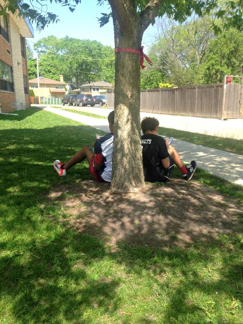 Studying the neighborhood trees 1