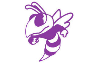 McCracken hornet mascot