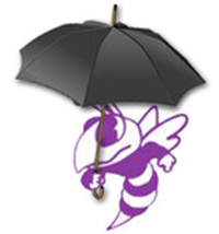 Picture of Ollie the Hornet under an umbrella